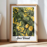 Sour Diesel Lemons Art Print